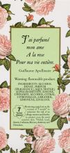 Perfume de Rosa 50 ml Perfume de Rosa 50 ml