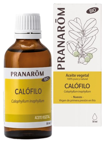 Calophyllous Vegetable Oil Calophyllous Vegetable Oil