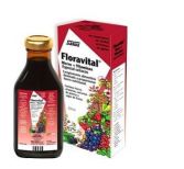 Floradix Hierro + Vitaminas Floradix Hierro + Vitaminas