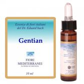 Fm 12 Gentian 10 ml Fm 12 Gentian 10 ml