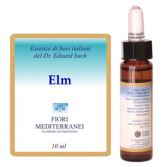 Fm 11 Elm 10 ml Fm 11 Elm 10 ml