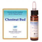 Fm 7 Chesnut Bud 10 ml Fm 7 Chesnut Bud 10 ml