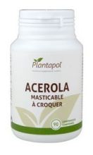 Eco Mastrica Acerola 90 Tablets Eco Mastrica Acerola 90 Tablets